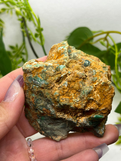 Rare Variscite from Zamora, Spain (D)