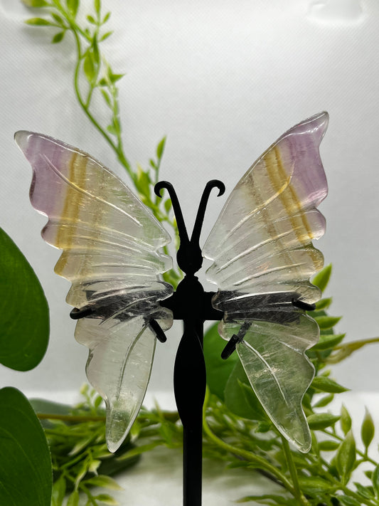 Fluorite wings (C)