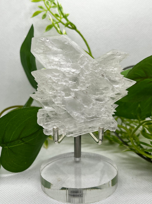 Fishtail selenite from Zona De Silencio (E)