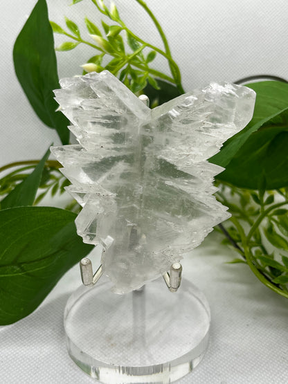 Fishtail selenite from Zona De Silencio (B)