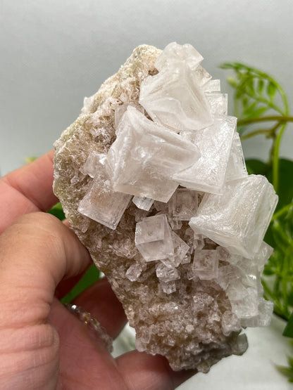 White halite from Searles lake (B)