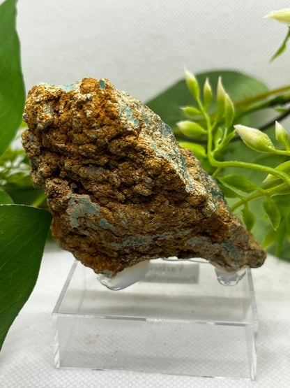 Rare Variscite from Zamora, Spain (C)