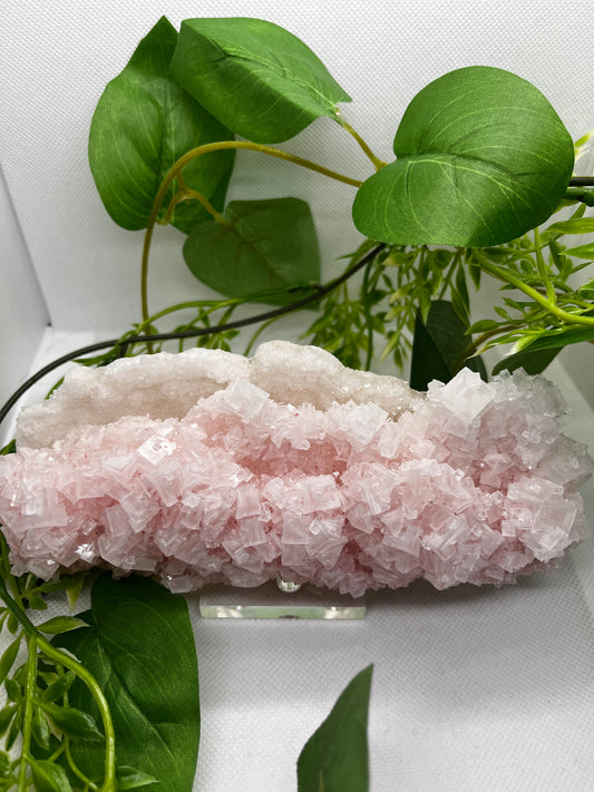 Pink halite F