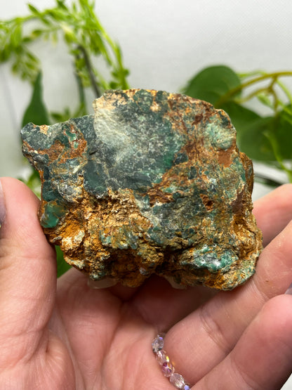 Rare Variscite from Zamora, Spain (D)