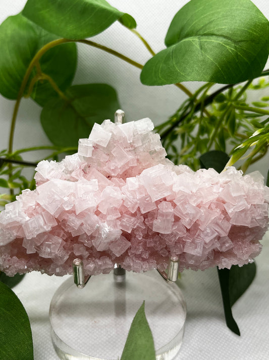 Pink halite B