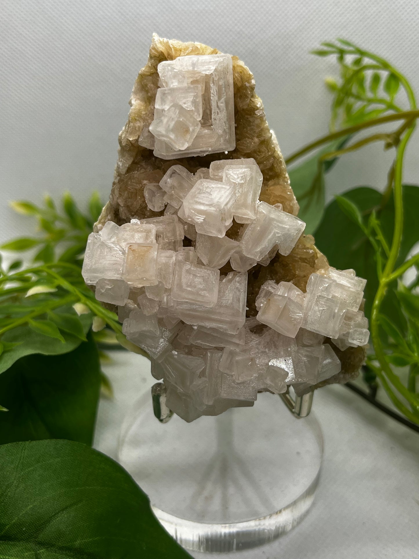 White halite from Searles lake (F)