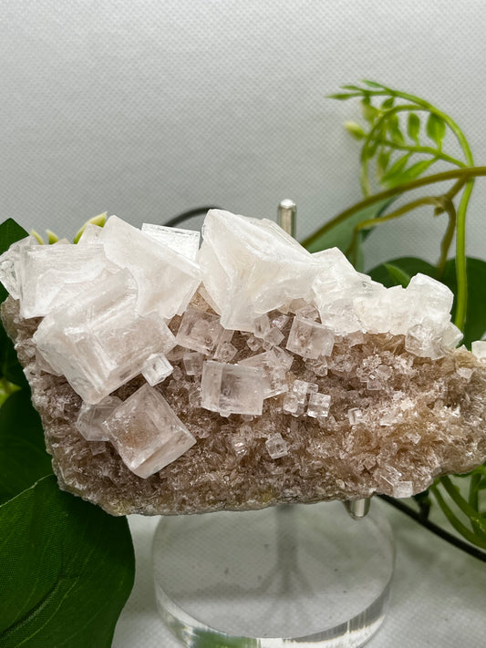 White halite from Searles lake (B)
