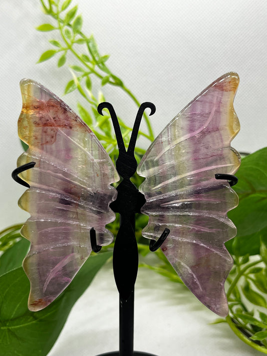 Fluorite Wings (A)