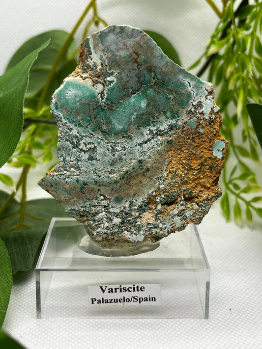 Rare Variscite from Zamora, Spain (B)