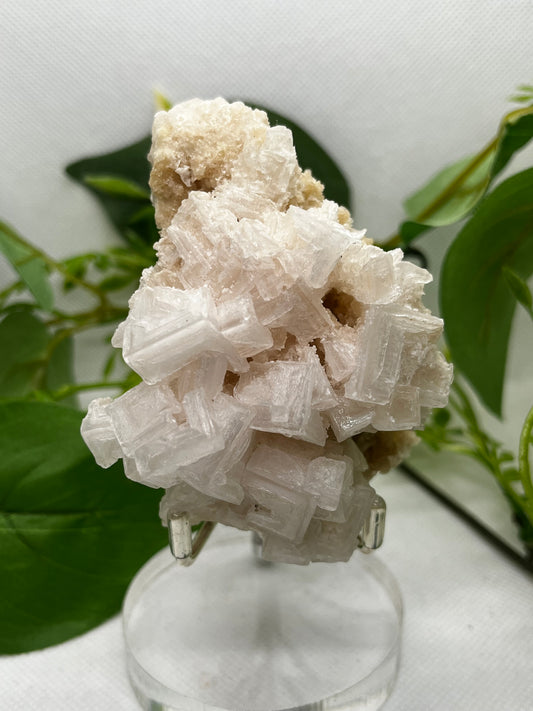 White halite from Searles lake (H)