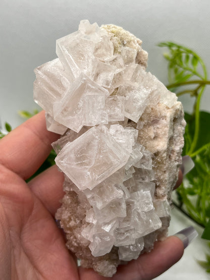 White halite from Searles lake (B)