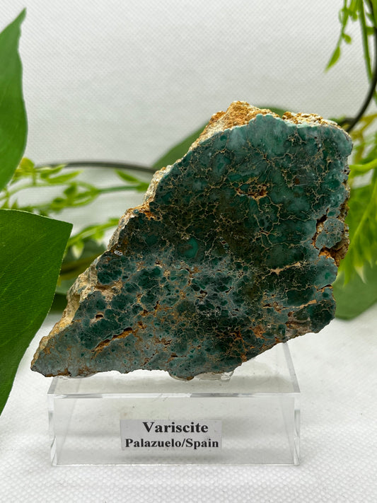 Rare Variscite from Zamora, Spain (C)