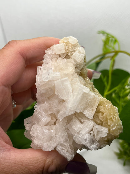 White halite from Searles lake (E)