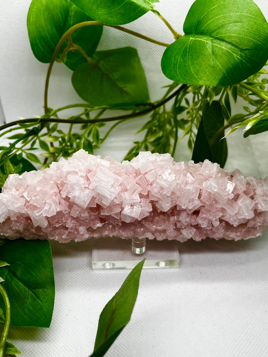 Pink halite C