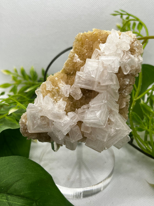 White halite from Searles lake (G)