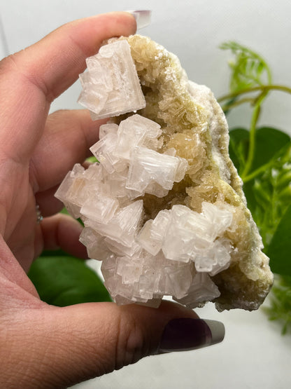 White halite from Searles lake (F)