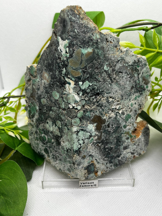 Rare Variscite from Zamora , Spain (A)